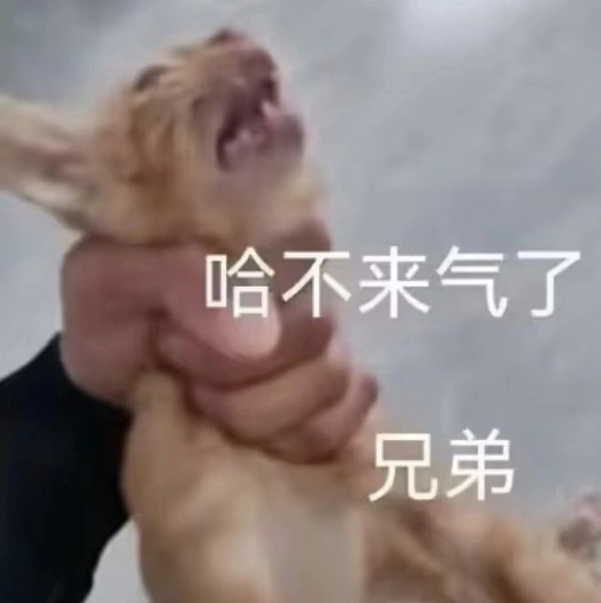 片的大罪人监狱都被民间礼物塞满了…开元棋牌app给日本人提供不打码影(图9)